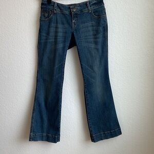 Eddie Bauer Blue Denim Curvy Trouser Flare Jeans 2P